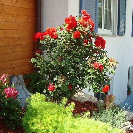 Ferienwohnung Weiser Kressbronn am Bodensee Exterior foto