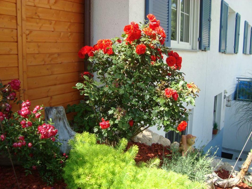 Ferienwohnung Weiser Kressbronn am Bodensee Exterior foto